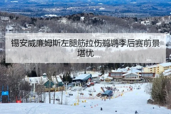 锡安威廉姆斯左腿筋拉伤鹈鹕季后赛前景堪忧